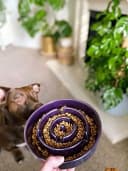 Dog Bowls Slow Feeder Ceramic — 1.5 Cup Slow Feeding Bowl for Small and Medium Breed
