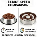 Slow Feeder Dog Bowl Stainless Steel — Metal Non-Slip Dog Food Bowls