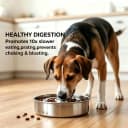 Slow Feeder Dog Bowl Stainless Steel — Metal Non-Slip Dog Food Bowls