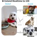 Slow Feeder Dog Bowls, Dishwasher Microwave Safe Silicone Puppy Puzzle Bowl with Non-Slip Design for Eating