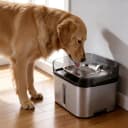 No Spill Dog Water Fountain Stainless Steel — Large 8L/2.1Gal Ultra Quiet