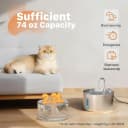 Cat Water Fountain Stainless Steel: 2.2 L Cat Fountain for Drinking - Automatic Pet Water Fountain for Cats