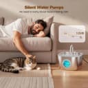 Stainless Steel Cat Water Fountain: Pet Fountains for Cats/Dog Indoor 74oz