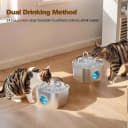 Stainless Steel Cat Water Fountain: Pet Fountains for Cats/Dog Indoor 74oz