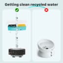Cat Water Fountain Filters — 12 Cat Fountain Replacement Filter