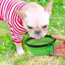 Dog Bowl Pet Collapsible Bowls