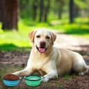 Dog Bowls Pet Collapsible Bowl with Cover Lids