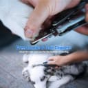 Heavy‑Duty Dog Nail Clipper for Large Dogs with Thick Nails — OUTLE