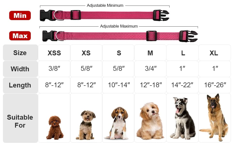 Reflective Dog Collar — Puppy Collar with Buckle Adjustable — product details