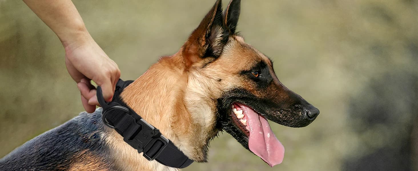 Tactical Dog Collar for Large Dogs — Traffic Control Handle — Tactical Collar with Control Handle For Secure Grip And Training