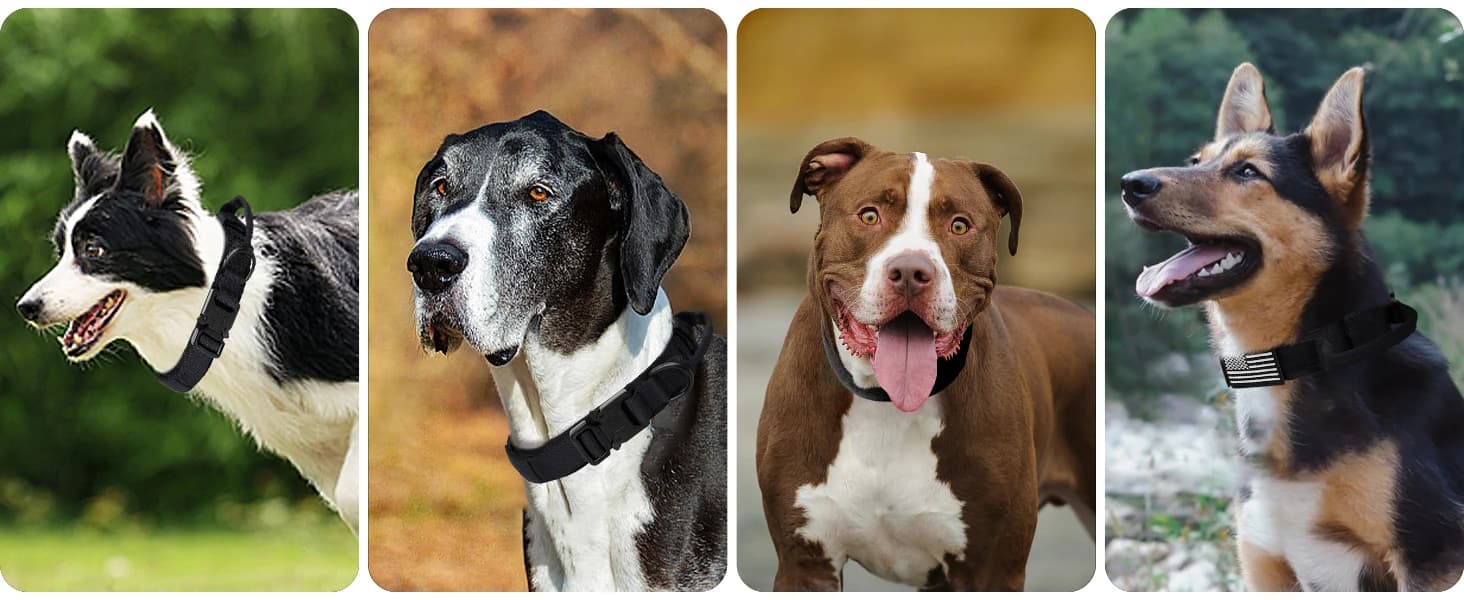Tactical Dog Collar for Large Dogs — Traffic Control Handle — product details