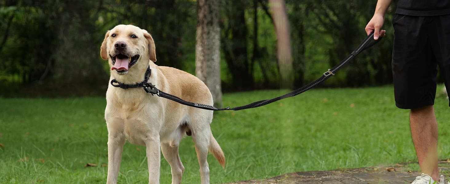 Tactical Dog Collar for Large Dogs — Traffic Control Handle — product details