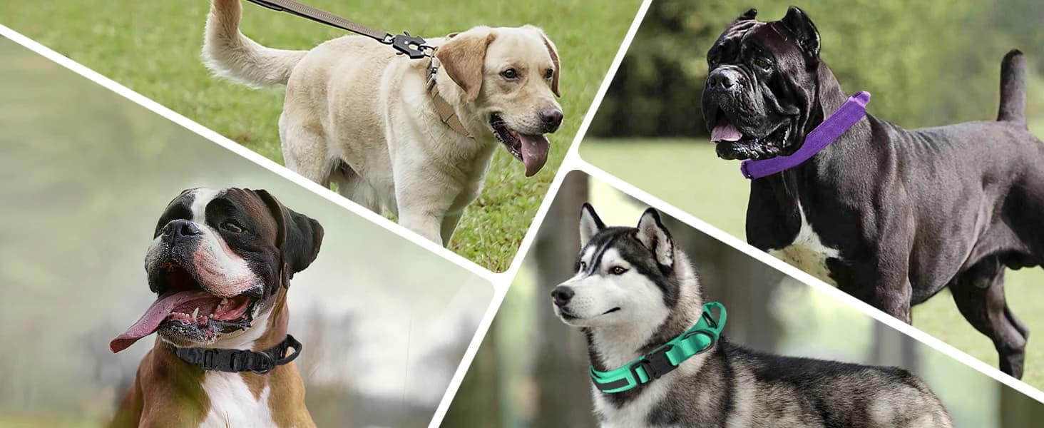 Tactical Dog Collar for Large Dogs — Traffic Control Handle — Tactical Dog Collar Are Ideal for Hiking — Hunting, Camping and Other Activities