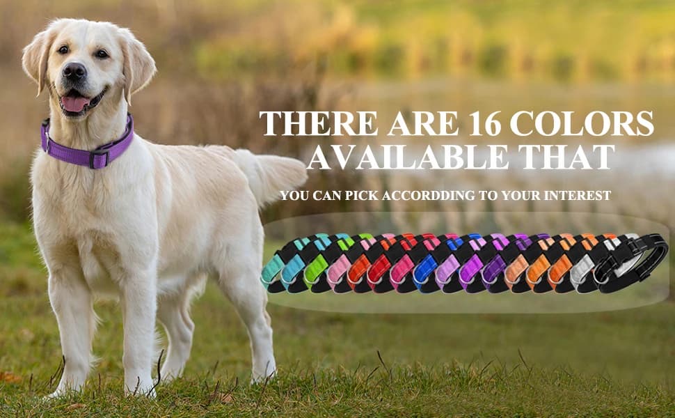 Reflective Dog Collar — Adjustable Nylon for Medium Dogs — product details