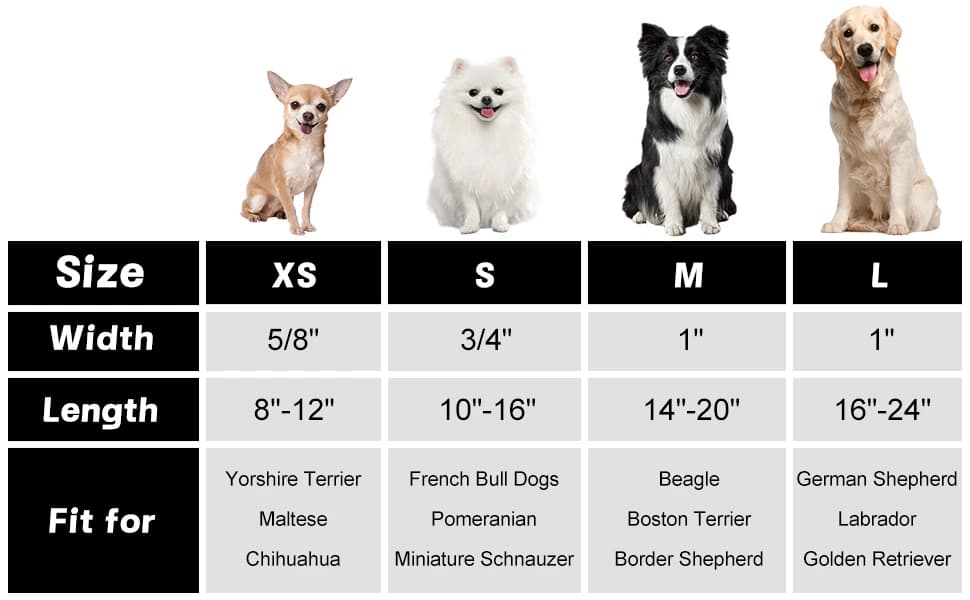 Adjustable and Reflective Dog Collar for Medium Dogs — product details