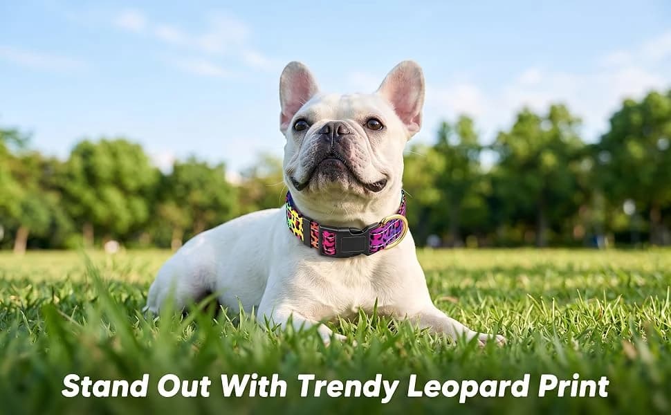 Adjustable and Reflective Dog Collar for Medium Dogs — product details