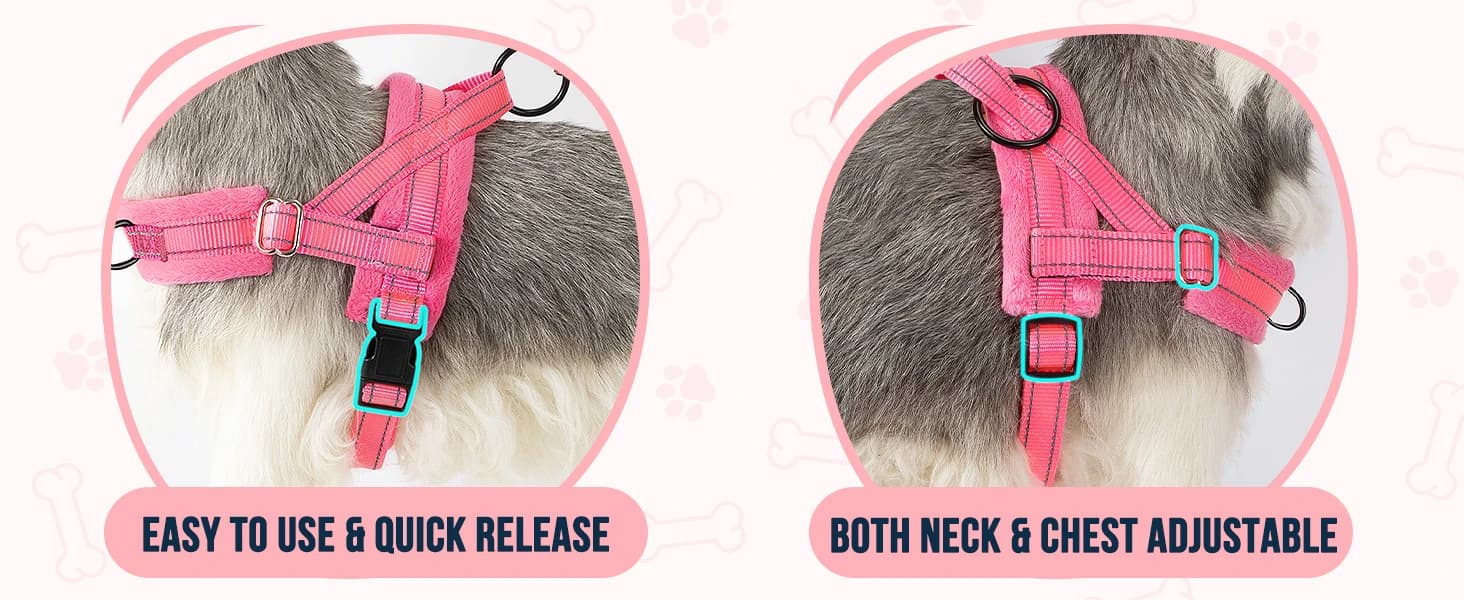 Small Dog Harness and Leash Set — Adjustable and Easy to Put on