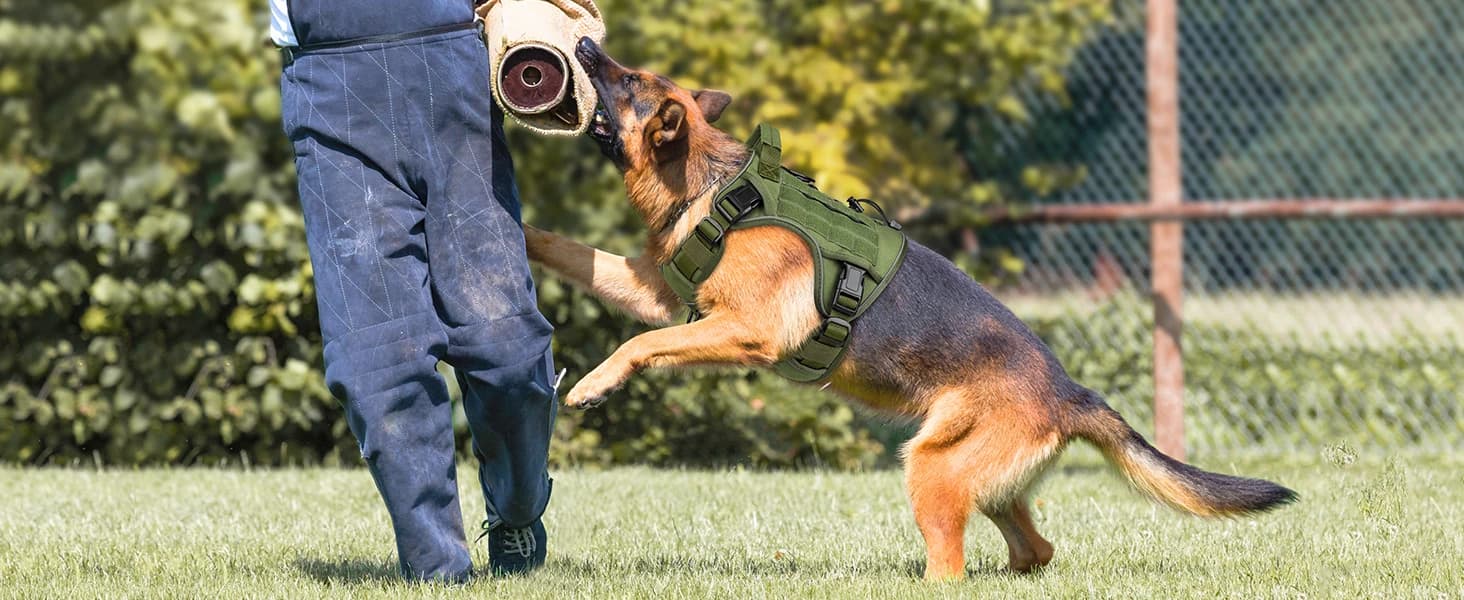 Tactical Dog Harness for Large Dogs — product details