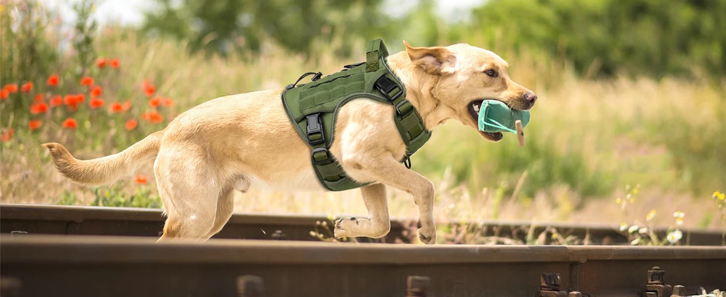 Tactical Dog Harness for Large Dogs — product details