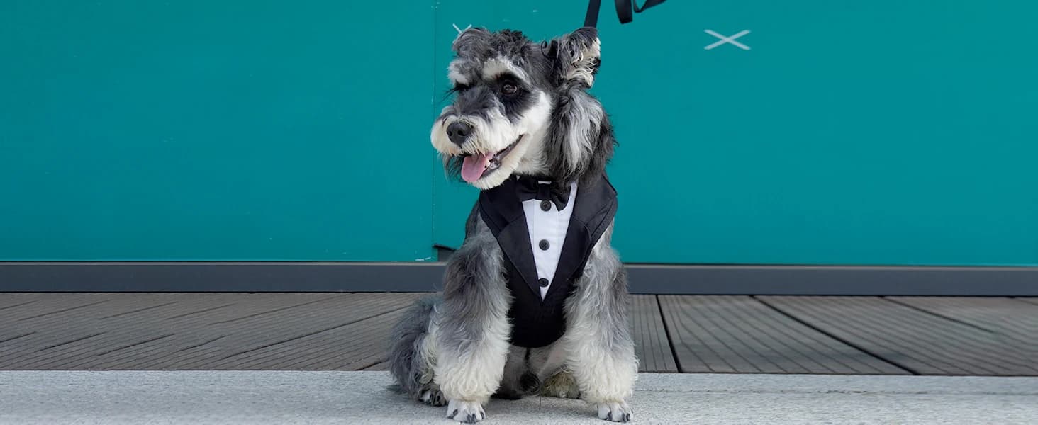 Dog Tuxedo Harness — Pet Harness No Pull for Small and Medium Dogs — Elegant Tuxedo Style