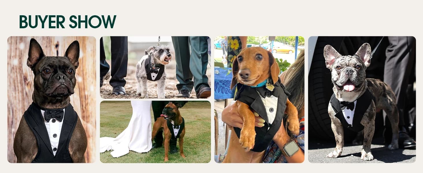 Dog Tuxedo Harness — Pet Harness No Pull for Small and Medium Dogs — product details