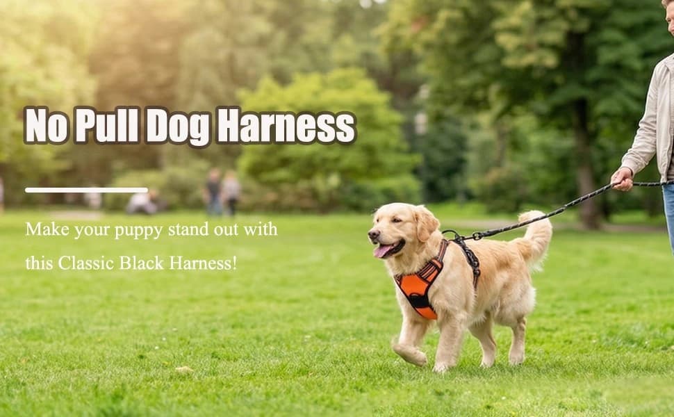 Dog Harness — No Pull Pet Vest for Large Dog — product details