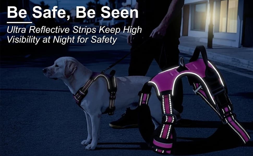Dog Harness — No Pull Pet Vest for Large Dog — product details