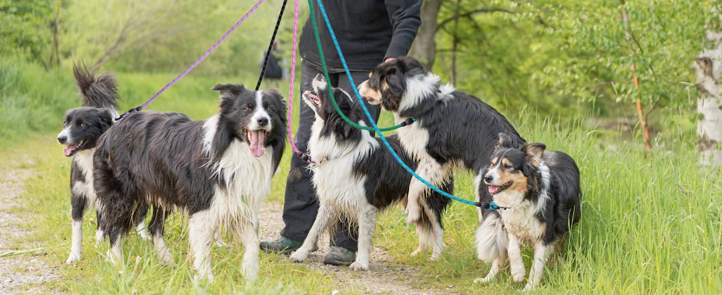 Dog Leash for Large Dogs — 5FT Heavy Duty Rope Leash Bulk — product details