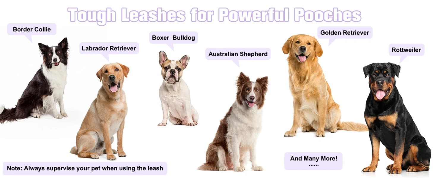 Dog Leash for Large Dogs — 5FT Heavy Duty Rope Leash Bulk — product details