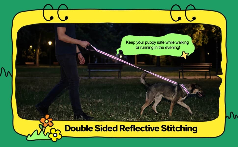 6 Pack Dog Leashes for Large Dogs — Reflective Nylon — product details
