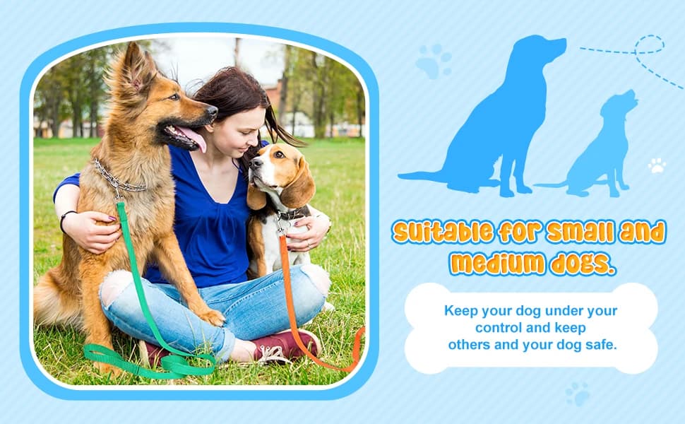 12 Pack Nylon Puppy Training Leash 5ft Pet Dog Leash — product details
