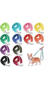 12 Pack Nylon Puppy Training Leash 5ft Pet Dog Leash — product details