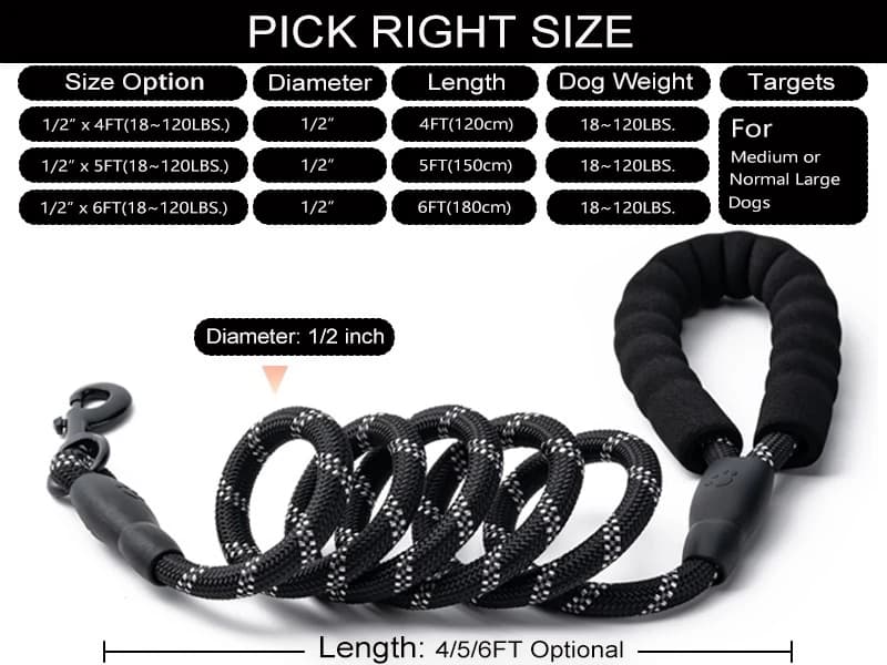 2 Pack Dog Leash — Heavy Duty Nylon Rope Pet Leashes — Heavy Duty-Comfortable Padded Handle-Reflective Dog Leash for Medium and Large Dogs