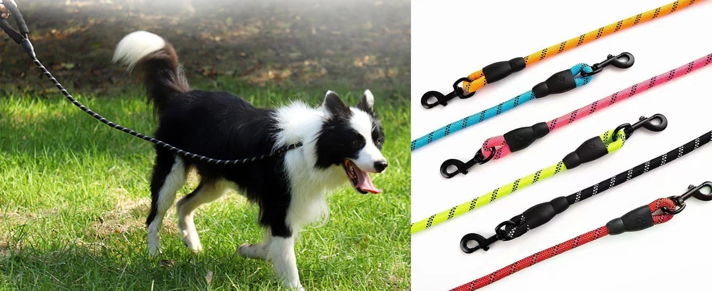 2 Pack Dog Leash — Heavy Duty Nylon Rope Pet Leashes — ONE SIZE FIT ALL DOGS