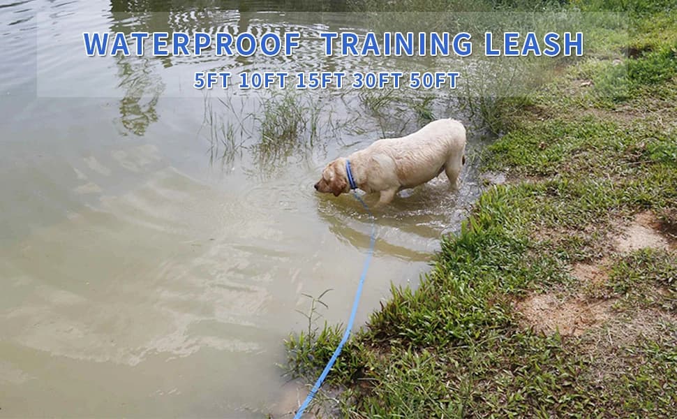 Waterproof Dog Training Leash 50FT 30FT 15FT 10FT 5FT Heavy Duty Recall Long Lead for Large Medium Small Dogs — product details