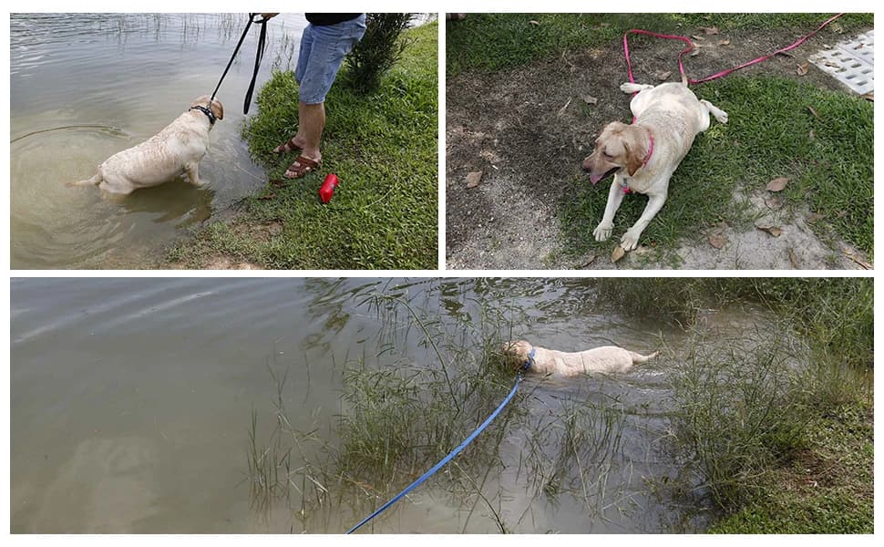 Waterproof Dog Training Leash 50FT 30FT 15FT 10FT 5FT Heavy Duty Recall Long Lead for Large Medium Small Dogs — product details