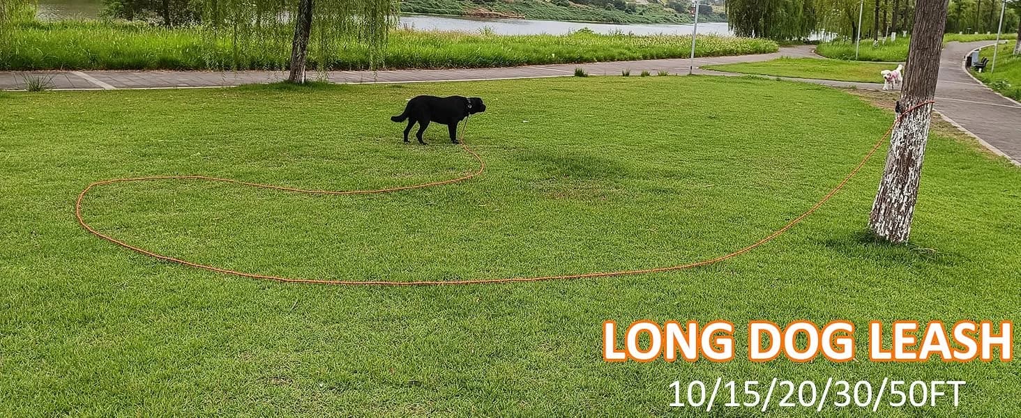 Long Dog Leash — 10/15/20/30/50FT Dog Training Leash with Soft Handle — product details