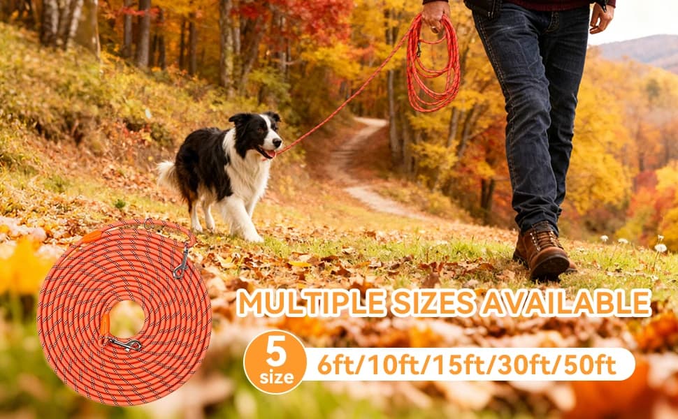 Long Dog Training Leash,Heavy Duty Reflective Rope Lead for Small, Medium, and Large Dogs ,6FT 10FT 15FT 30FT — MULTIPLE SIZES AVAILABLE