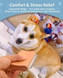 Dog Brush for Shedding | Pet pro Grooming Tool — Cat Grooming Supplies