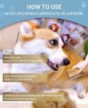 Dog Brush for Shedding | Pet pro Grooming Tool — Cat Grooming Supplies