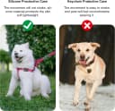 for Airtag Dog Collar Holder (1st & 2nd Generation) Air Tag Protective Cat Airtag Dog Collar