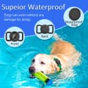 Waterproof Airtag Holder for Dog Collar — Black