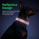 Premium Airtag Dog Collar，with IP68 Waterproof AirTag Holder