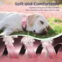 Premium Airtag Dog Collar，with IP68 Waterproof AirTag Holder