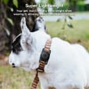 for Airtag Dog Collar Holder 2 Pack
