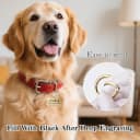 Personalized Brass Dog Tag — Custom Engraved Pet ID Tag