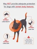 Soft Dog Cones — Recovery Dog Donut Collar After Surgery- Cone of Shame Alternative