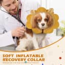 Inflatable Recovery Dog Collar