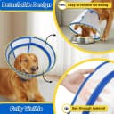 Dog Cone to Stop Licking — Clear Recovery Collar with Detachable Zipper