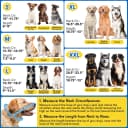 Dog Cone to Stop Licking — Clear Recovery Collar with Detachable Zipper